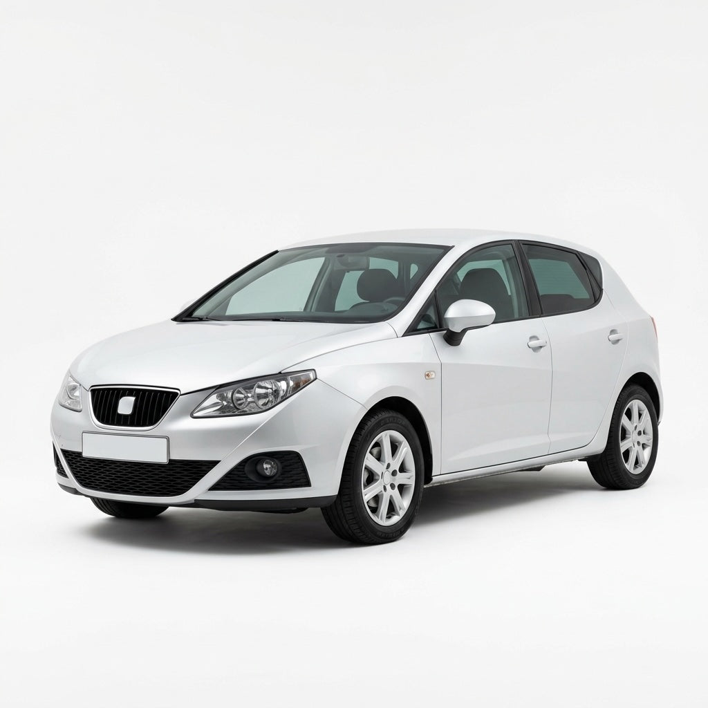 PDE-Produkte für SEAT Ibiza 4