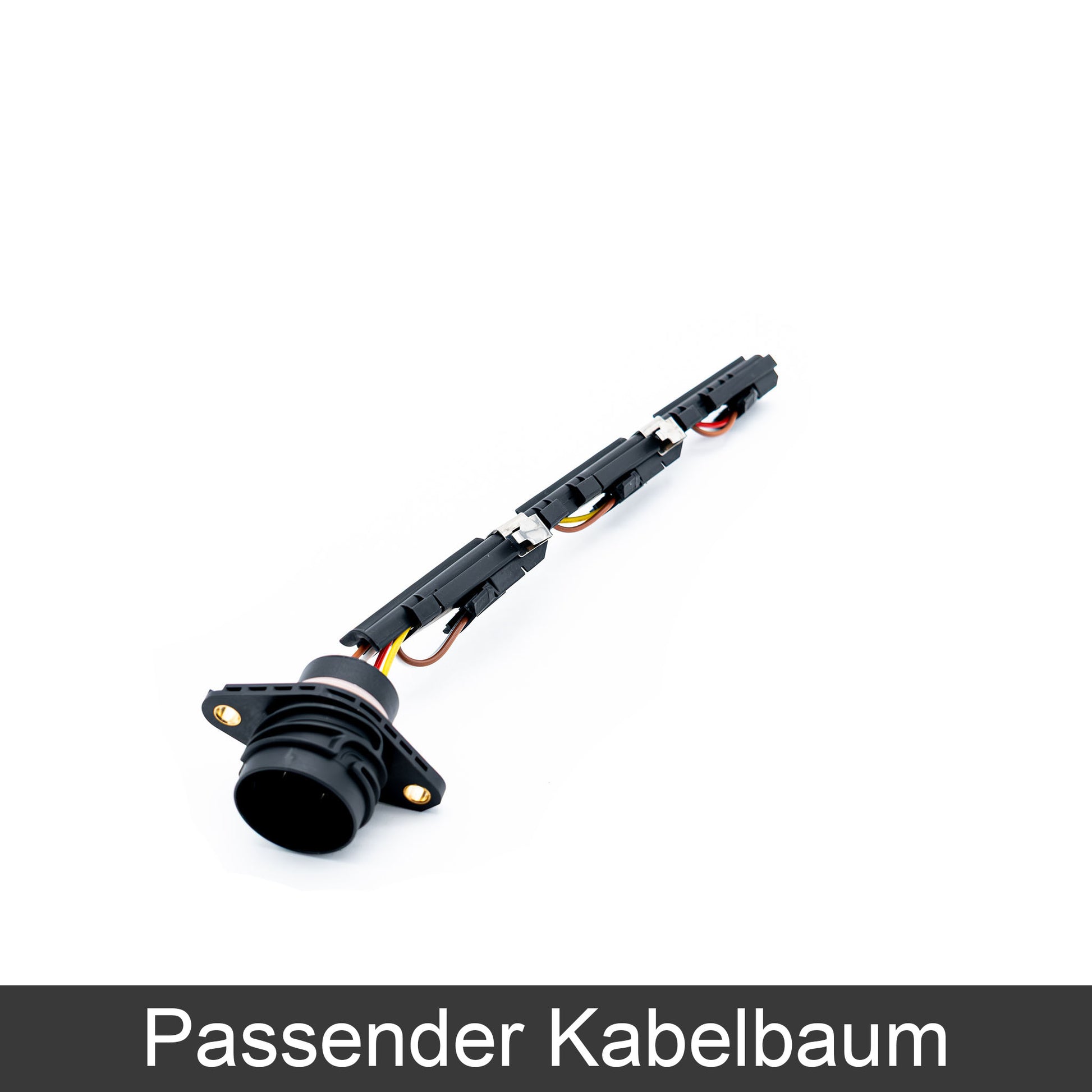 PDE_3-Zylinder_Kabelbaum
